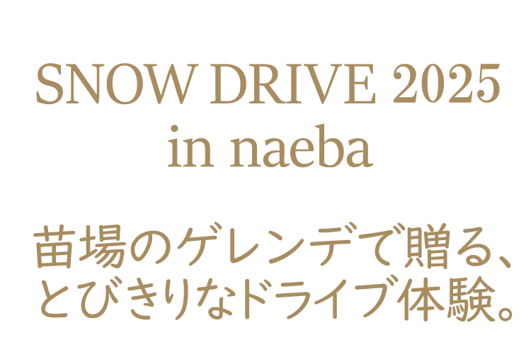 SNOW DRIVE in naeba